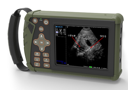 獸用B超機,獸用b超,獸用孕檢B超,母豬B超,羊B超,母牛B超