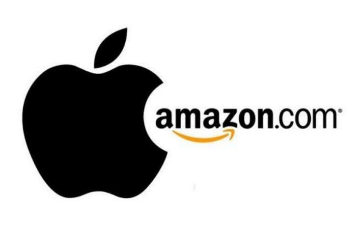 亞馬遜、蘋果等巨頭能改變醫(yī)療行業(yè)的游戲規(guī)則嗎？